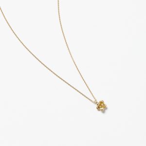 Sukkulenten Kette