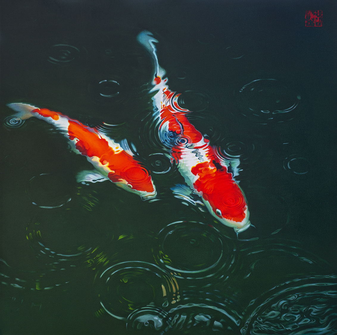 Zwei Koi Karpfen im Waser auf dem man Regentropfen sieht